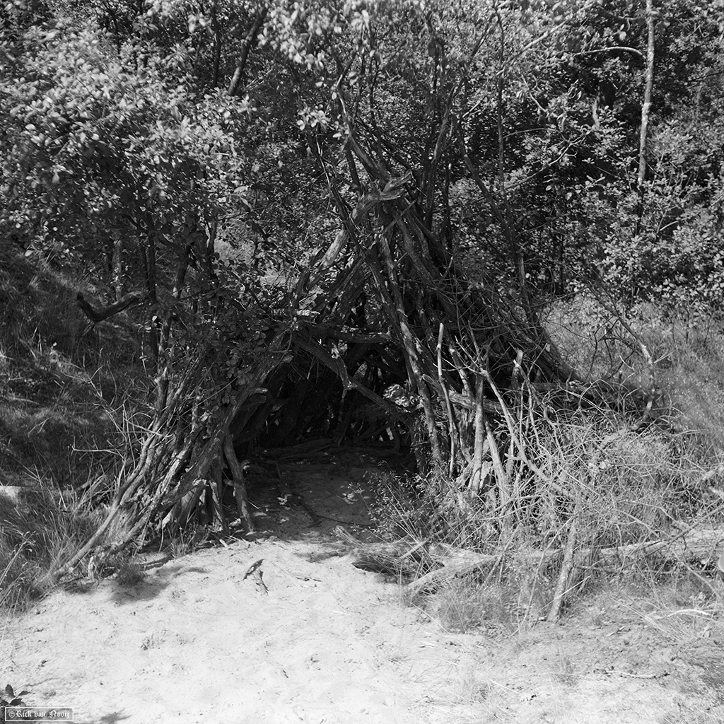 Fomapan 200 Creative (Bellini Euro-HC, E, 6.5min, 20C)
