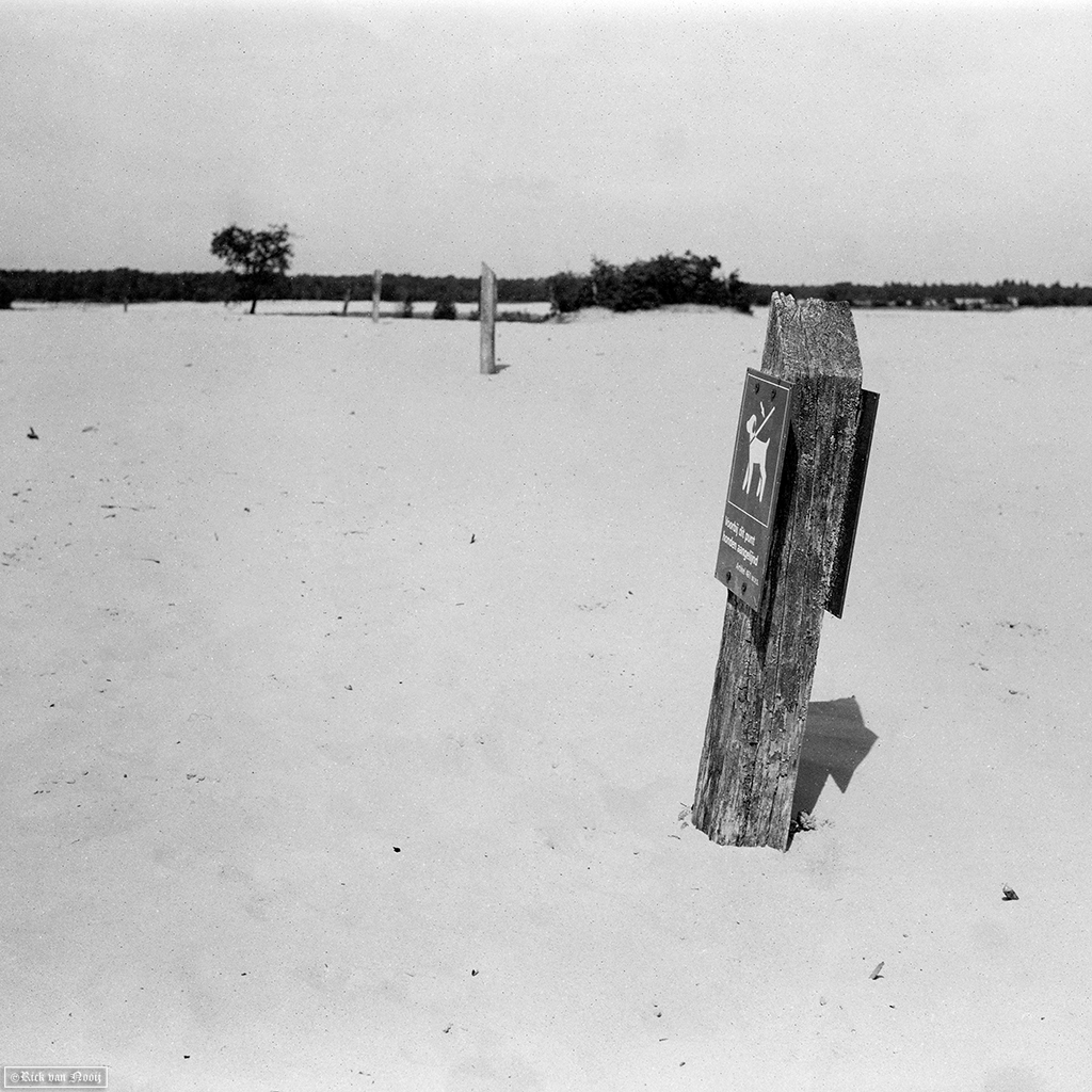 Fomapan 200 Creative (Bellini Euro-HC, E, 6.5min, 20C)
