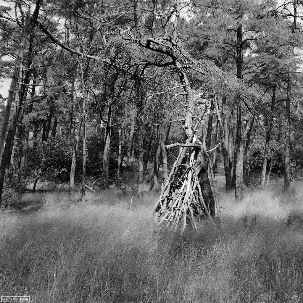Fomapan 200 Creative (Bellini Euro-HC, E, 6.5min, 20C)
