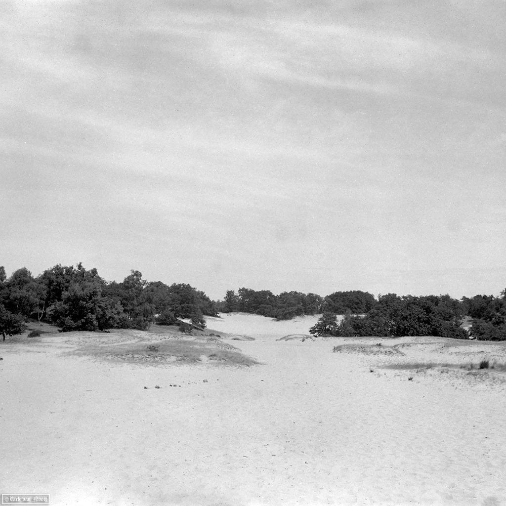 Fomapan 200 Creative (Bellini Euro-HC, E, 6.5min, 20C)
