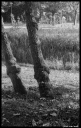 3B141014.jpg