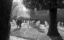 Filename=AD161105.jpg
Filesize=287KiB
Dimensions=800x500
Date added=Mar 19, 2017 AD161105.jpg