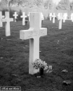 Filename=AD161113.jpg
Filesize=225KiB
Dimensions=520x640
Date added=Mar 19, 2017 AD161113.jpg
