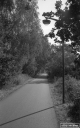 Filename=AD180802.jpg
Filesize=293KiB
Dimensions=500x800
Date added=Aug 19, 2018 AD180802.jpg