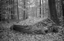Filename=AD211117.jpg
Filesize=531KiB
Dimensions=1024x660
Date added=Nov 19, 2021 AD211117.jpg