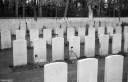Filename=AD211125.jpg
Filesize=458KiB
Dimensions=1024x660
Date added=Nov 19, 2021 AD211125.jpg