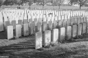 Filename=AD231115.jpg
Filesize=542KiB
Dimensions=1024x681
Date added=Nov 12, 2023 AD231115.jpg