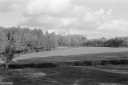 Filename=AD231124.jpg
Filesize=450KiB
Dimensions=1024x681
Date added=Nov 12, 2023 AD231124.jpg