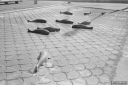 Filename=AF210601.jpg
Filesize=316KiB
Dimensions=800x532
Date added=Jun 14, 2021 AF210601.jpg