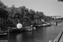 Filename=AF210611.jpg
Filesize=283KiB
Dimensions=800x532
Date added=Jun 15, 2021 AF210611.jpg