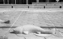 Filename=AF210617.jpg
Filesize=287KiB
Dimensions=800x500
Date added=Jun 15, 2021 AF210617.jpg