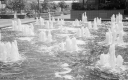 Filename=AF210623.jpg
Filesize=296KiB
Dimensions=800x500
Date added=Jun 15, 2021 AF210623.jpg