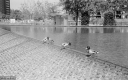 Filename=AF210627.jpg
Filesize=312KiB
Dimensions=800x500
Date added=Jun 15, 2021 AF210627.jpg