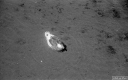 Filename=AF210629.jpg
Filesize=262KiB
Dimensions=800x500
Date added=Jun 15, 2021 AF210629.jpg