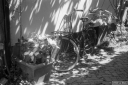 Filename=AF210638.jpg
Filesize=254KiB
Dimensions=800x532
Date added=Jun 15, 2021 AF210638.jpg