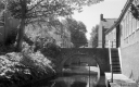 Filename=AF210639.jpg
Filesize=278KiB
Dimensions=800x500
Date added=Jun 15, 2021 AF210639.jpg