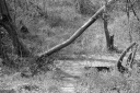 Filename=AF220408.jpg
Filesize=575KiB
Dimensions=1024x681
Date added=Apr 20, 2022 AF220408.jpg