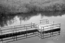 Filename=AF220412.jpg
Filesize=467KiB
Dimensions=1024x681
Date added=Apr 20, 2022 AF220412.jpg