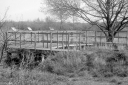 Filename=AF220422.jpg
Filesize=540KiB
Dimensions=1024x681
Date added=Apr 20, 2022 AF220422.jpg
