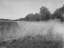 Filename=AF220427.jpg
Filesize=465KiB
Dimensions=1024x768
Date added=May 15, 2022 AF220427.jpg