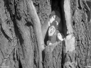 Filename=AF220432.jpg
Filesize=538KiB
Dimensions=1024x768
Date added=May 15, 2022 AF220432.jpg