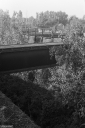 Filename=AFF23049.jpg
Filesize=492KiB
Dimensions=681x1024
Date added=Sep 30, 2023 AFF23049.jpg