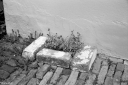 Filename=AK220506.jpg
Filesize=448KiB
Dimensions=1024x681
Date added=May 06, 2022 AK220506.jpg