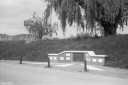 Filename=AK220519.jpg
Filesize=476KiB
Dimensions=1024x681
Date added=May 06, 2022 AK220519.jpg