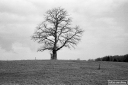 Filename=AT210307.jpg
Filesize=319KiB
Dimensions=800x532
Date added=Mar 07, 2021 AT210307.jpg