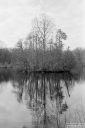Filename=AT210309.jpg
Filesize=297KiB
Dimensions=532x800
Date added=Mar 07, 2021 AT210309.jpg