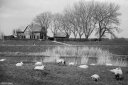 Filename=AT230421.jpg
Filesize=530KiB
Dimensions=1024x681
Date added=Apr 11, 2023 AT230421.jpg