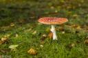 Filename=AU211016.jpg
Filesize=433KiB
Dimensions=800x532
Date added=Oct 23, 2021 AU211016.jpg