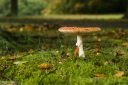 Filename=AU211017.jpg
Filesize=394KiB
Dimensions=800x532
Date added=Oct 23, 2021 AU211017.jpg
