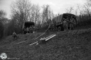 Filename=BD200135.jpg
Filesize=318KiB
Dimensions=800x532
Date added=Jan 31, 2020 BD200135.jpg