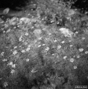 Filename=BT260701.jpg
Filesize=357KiB
Dimensions=681x683
Date added=Jul 18, 2026 BT260701.jpg