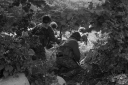 Filename=CCBd0062.jpg
Filesize=276KiB
Dimensions=800x532
Date added=Aug 27, 2017 CCBd0062.jpg