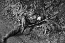 Filename=CCBd0065.jpg
Filesize=375KiB
Dimensions=800x532
Date added=Aug 27, 2017 CCBd0065.jpg