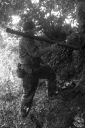 Filename=CCBd0066.jpg
Filesize=308KiB
Dimensions=532x800
Date added=Aug 27, 2017 CCBd0066.jpg