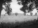 CD210717.jpg