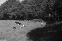 Filename=CD230507.jpg
Filesize=540KiB
Dimensions=1024x681
Date added=May 19, 2023 CD230507.jpg