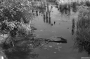 Filename=CD230509.jpg
Filesize=513KiB
Dimensions=1024x681
Date added=May 19, 2023 CD230509.jpg