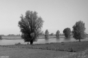 Filename=CD230510.jpg
Filesize=440KiB
Dimensions=1024x681
Date added=May 19, 2023 CD230510.jpg