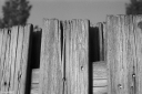 Filename=CD230520.jpg
Filesize=497KiB
Dimensions=1024x681
Date added=May 19, 2023 CD230520.jpg