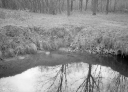 Filename=CD240136.jpg
Filesize=305KiB
Dimensions=800x580
Date added=Jan 08, 2024 CD240136.jpg