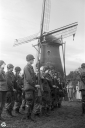 CK250947.jpg