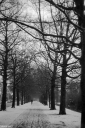 Filename=CN230119.jpg
Filesize=504KiB
Dimensions=681x1024
Date added=Jan 22, 2023 CN230119.jpg