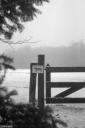 Filename=CN230126.jpg
Filesize=389KiB
Dimensions=681x1024
Date added=Jan 22, 2023 CN230126.jpg