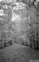 Filename=CT191106.jpg
Filesize=311KiB
Dimensions=500x800
Date added=Nov 25, 2019 CT191106.jpg