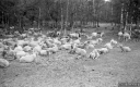 Filename=CT200518.jpg
Filesize=280KiB
Dimensions=800x506
Date added=May 24, 2020 CT200518.jpg