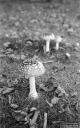 Filename=CT201102.jpg
Filesize=284KiB
Dimensions=500x800
Date added=Nov 08, 2020 CT201102.jpg